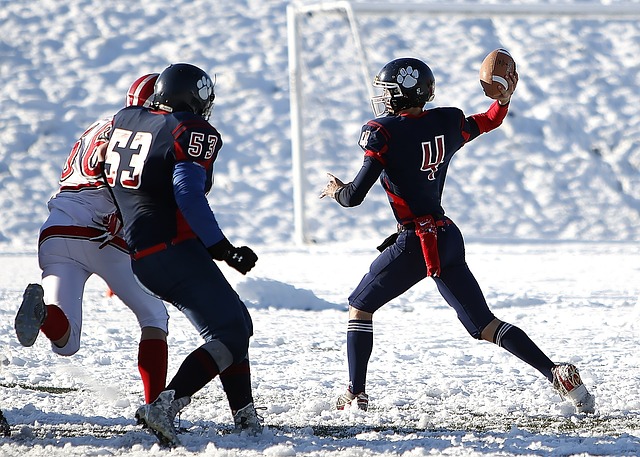 體育在法國 體育在法國