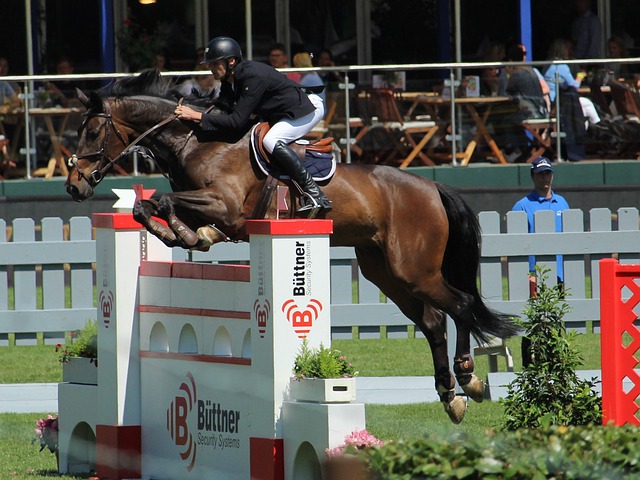 详细探讨水 详细探讨水