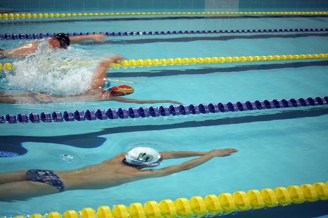 人因裁判判 人因裁判判