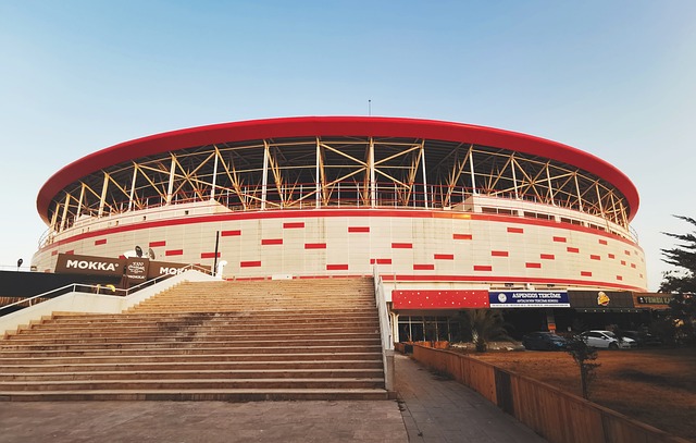 来充满期待 来充满期待