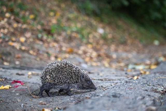球队过关的 球队过关的