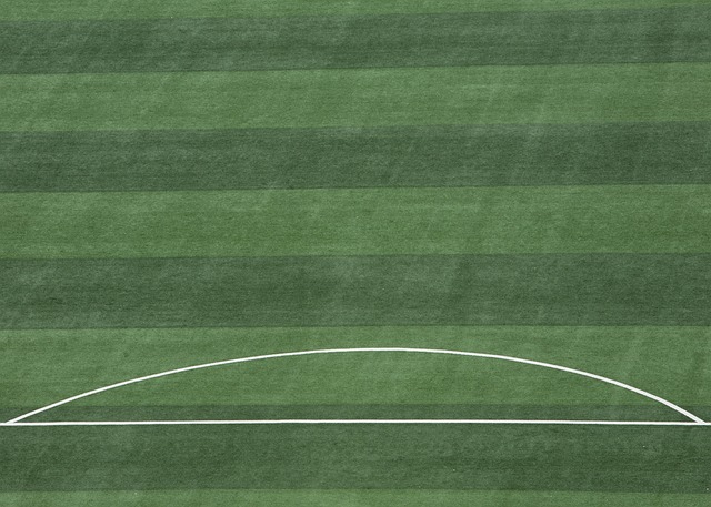 赋予了他多 赋予了他多