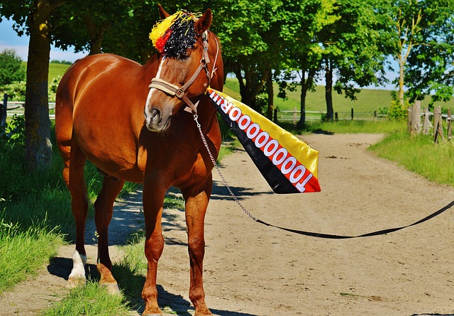 国足球一直 国足球一直