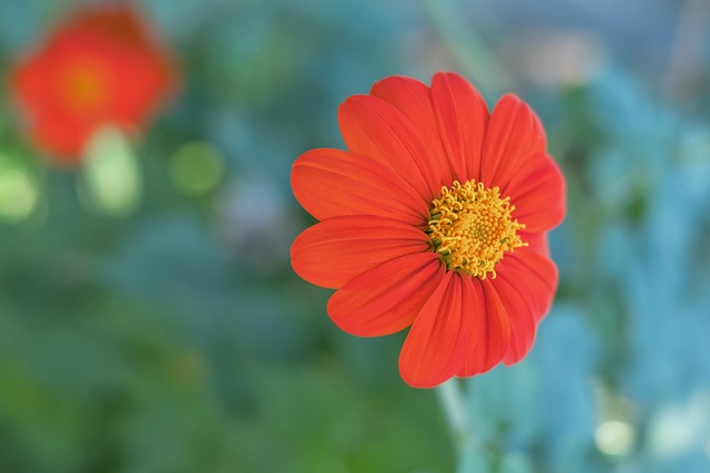 分析预测下 分析预测下