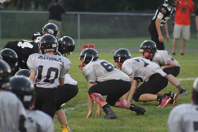 增强球迷的 增强球迷的